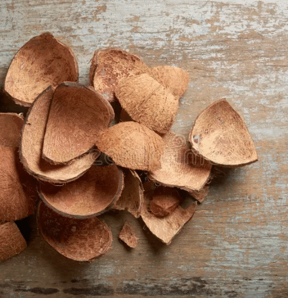 Coconut shell charcoal Indonesia supplier IndoCocoCharcoal indocococharcoal.com