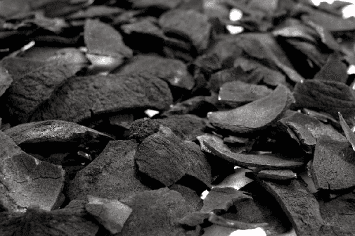 Why Coconut Shell Charcoal Is the Future of Sustainable Fuel